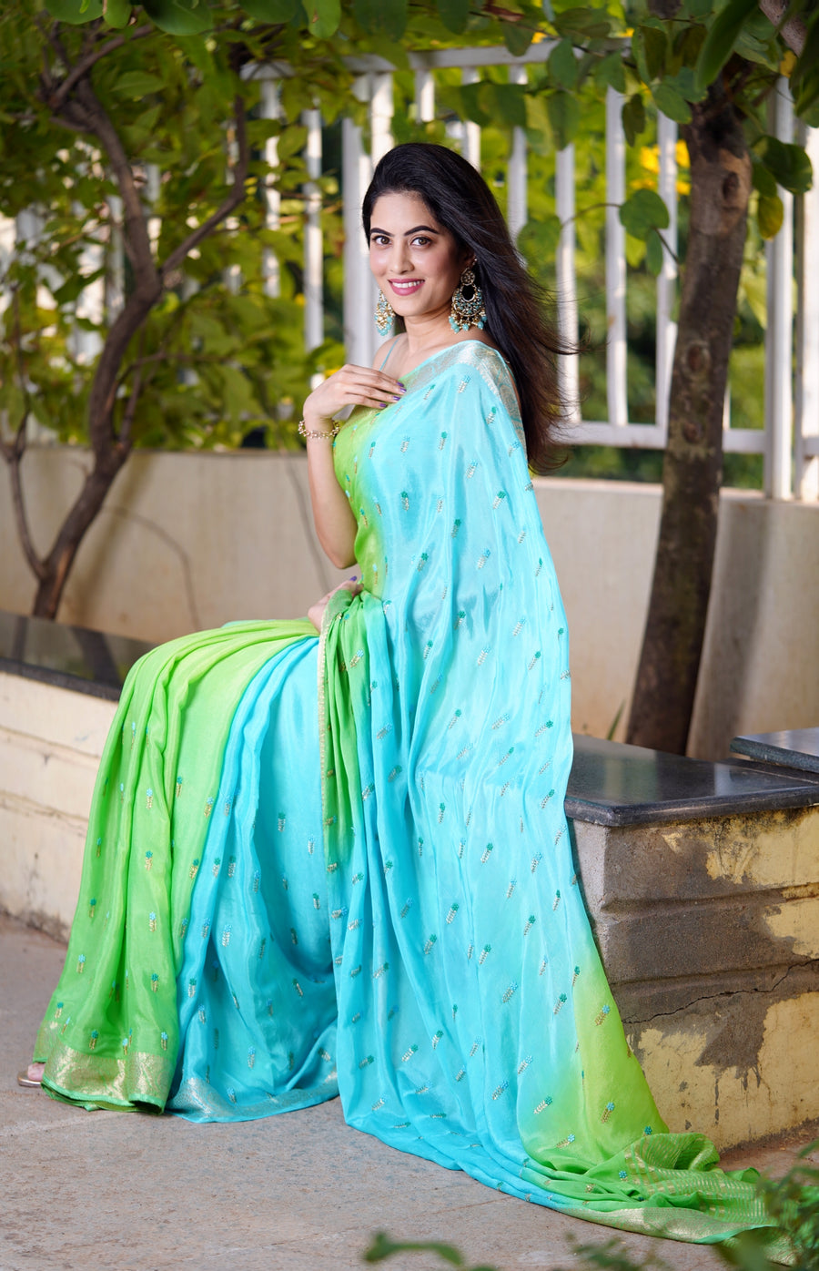 chinnon crepe saree